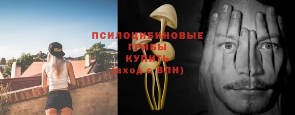 mdpv Михайловск
