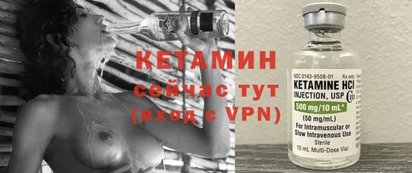 дмт Пересвет